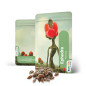 Ephedra Seeds Ephedra Seeds